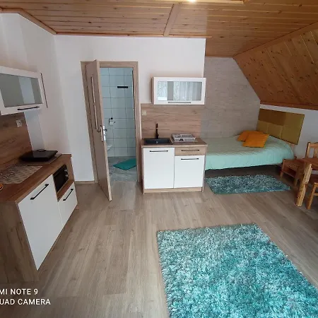 Quarto em Acomodações Particulares U Gosi *